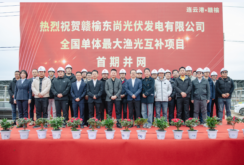 竞博体育app官网